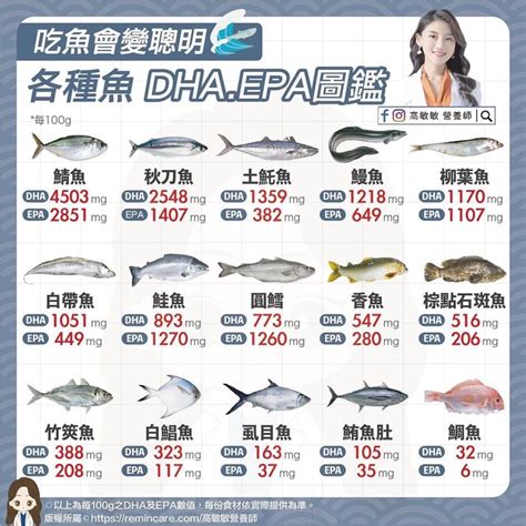 台灣魚排名 薜佳凝